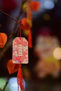 ứng dụng 8Day